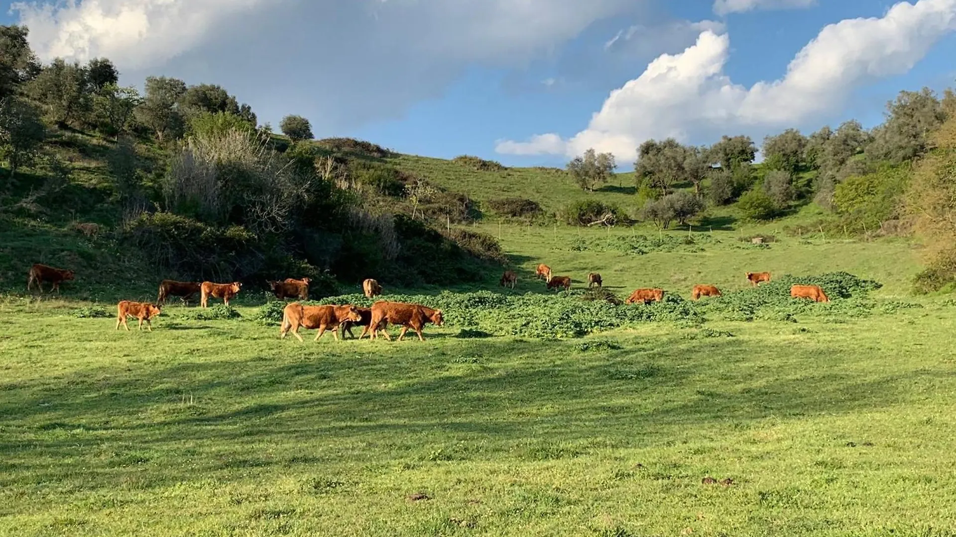 Agriturismo Polgara Lari Italy